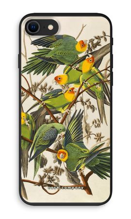 Carolina Parrot