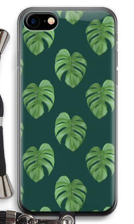 Monstera leaves