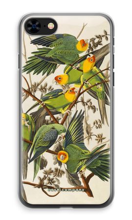 Carolina Parrot