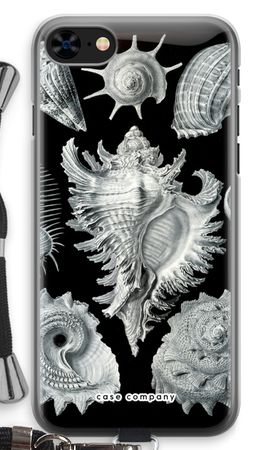 Haeckel Prosobranchia