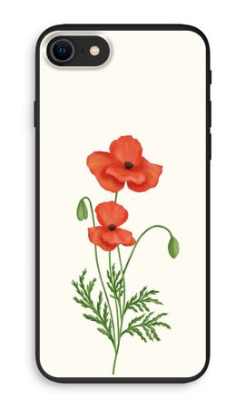 Red poppy