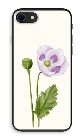 Purple poppy