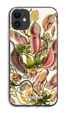 Haeckel Nepenthaceae