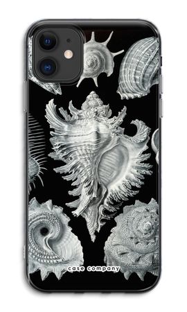 Haeckel Prosobranchia