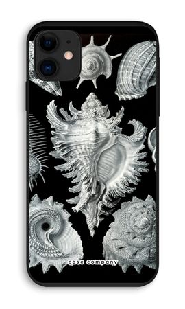 Haeckel Prosobranchia