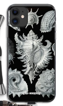 Haeckel Prosobranchia