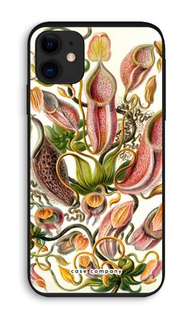 Haeckel Nepenthaceae