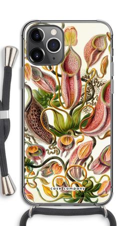 Haeckel Nepenthaceae