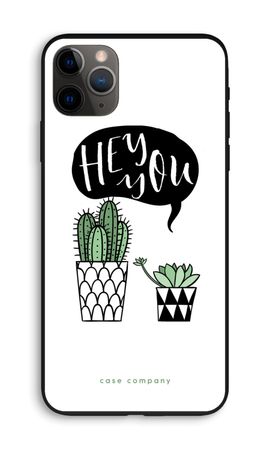 Hey you cactus