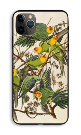 Carolina Parrot
