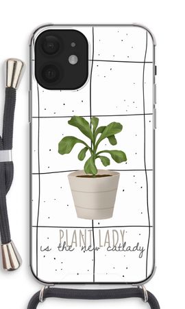 Houseplant on windowpane