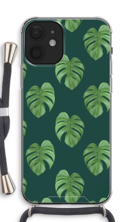 Monstera leaves