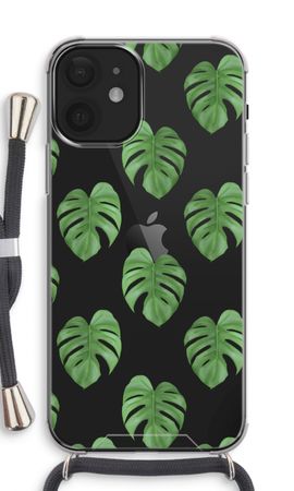Monstera leaves