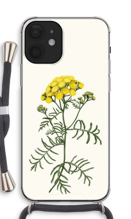 Tansy