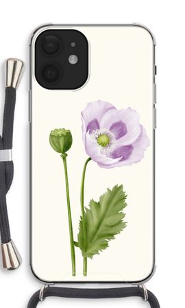 Purple poppy