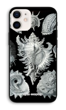 Haeckel Prosobranchia