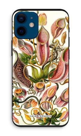 Haeckel Nepenthaceae