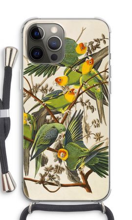 Carolina Parrot