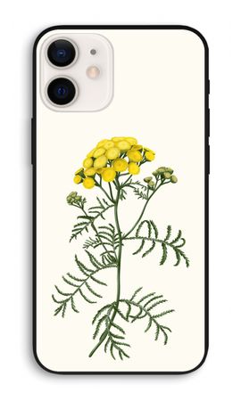 Tansy