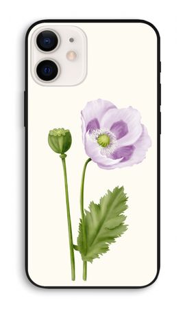 Purple poppy