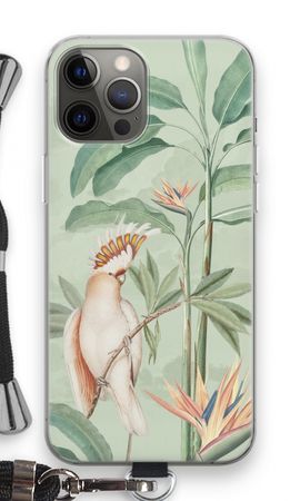 Pappagallo tropicale