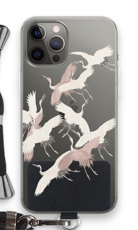 Uccelli della gru giapponese