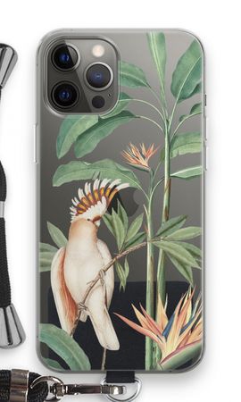 Pappagallo tropicale