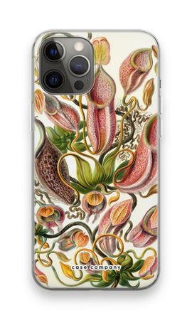 Haeckel Nepenthaceae