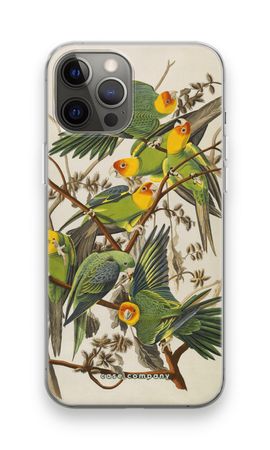 Carolina Parrot