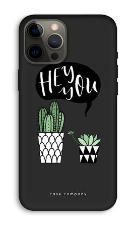 Hey you cactus