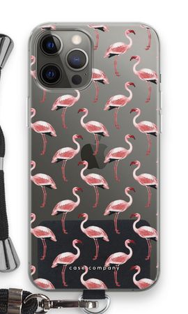 Fenicotteri in Verde