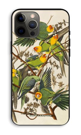 Carolina Parrot