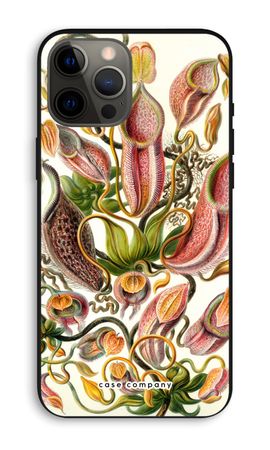 Haeckel Nepenthaceae