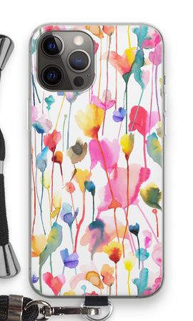 Wild Colorful Flowers