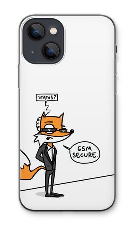 GSM secure