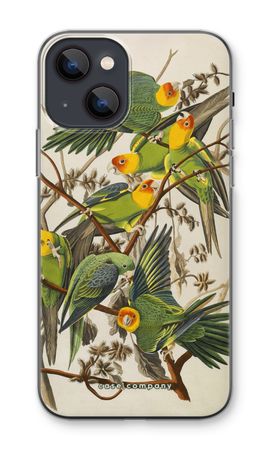 Carolina Parrot