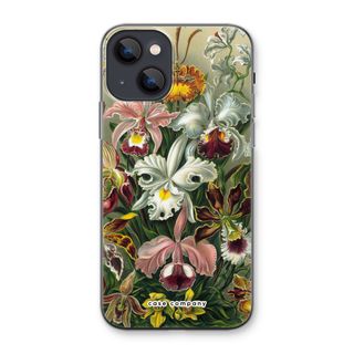 Haeckel Orchidae