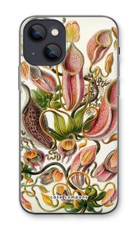 Haeckel Nepenthaceae