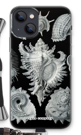 Haeckel Prosobranchia