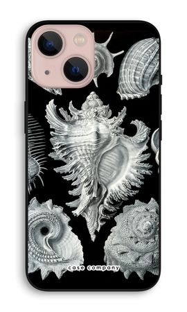 Haeckel Prosobranchia