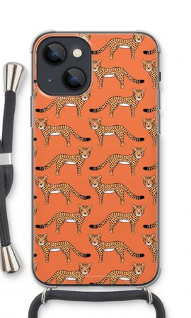Cheetah