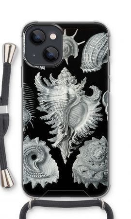 Haeckel Prosobranchia