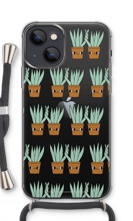 Sansevieria