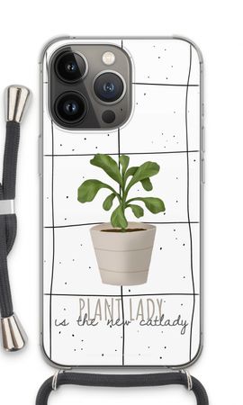 Houseplant on windowpane