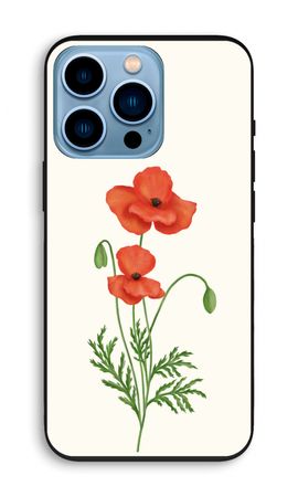 Red poppy