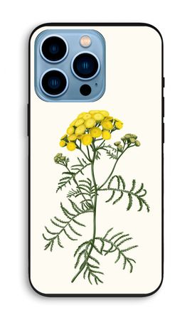 Tansy