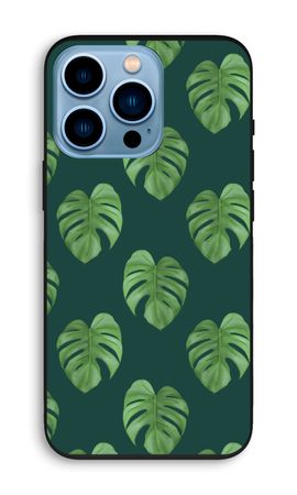 Monstera leaves