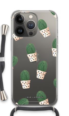 Cactus in Rosa