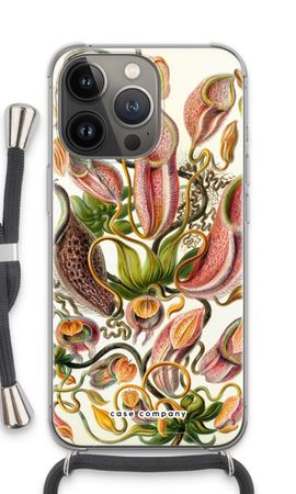 Haeckel Nepenthaceae