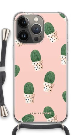 Cactus in Rosa